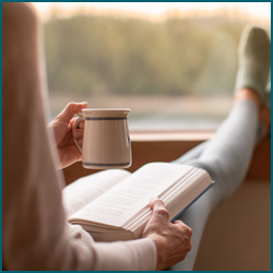 a graphic with Christmas trees