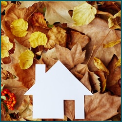 harvest home